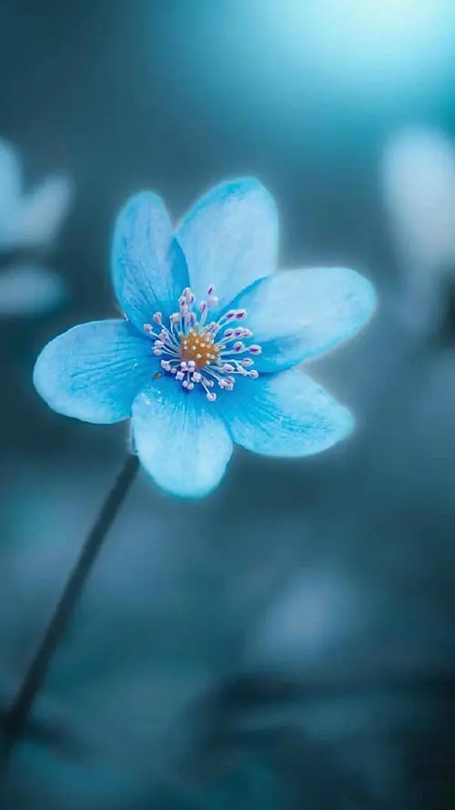 手机号转账 操作方便受青睐